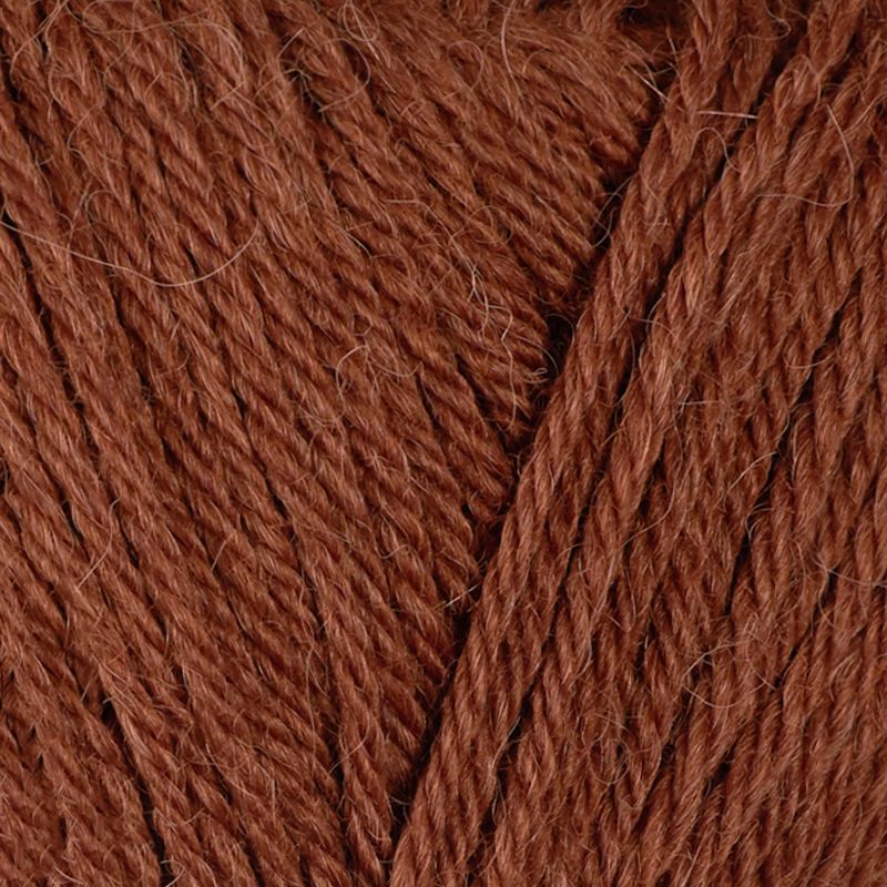 Alpaca Storm
