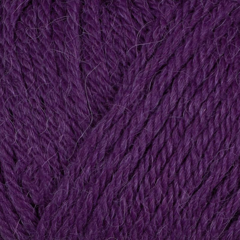 Alpaca Storm
